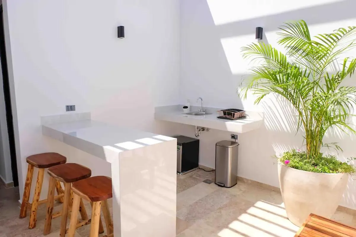 Apartment Stayon5A.Av.Penthouse With Privatepool Freeparking Playa del Carmen Mexico