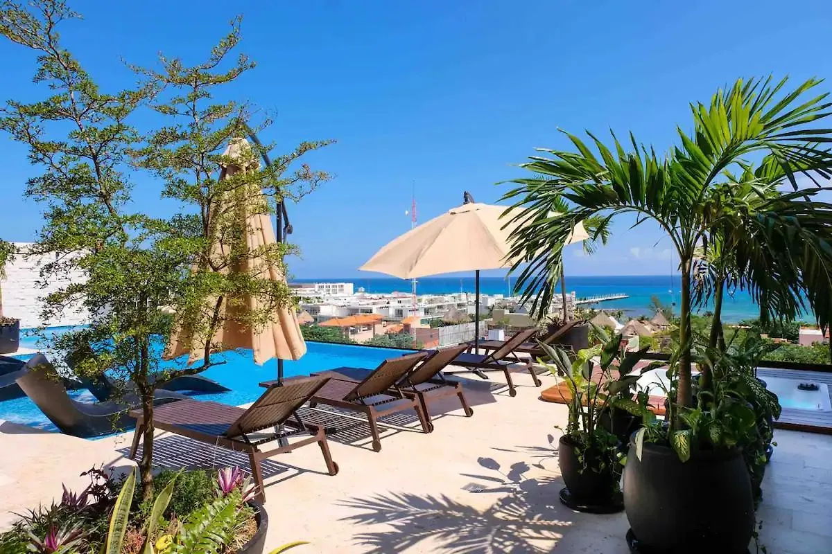 Stayon5A.Av.Penthouse With Privatepool Freeparking Playa del Carmen Apartment